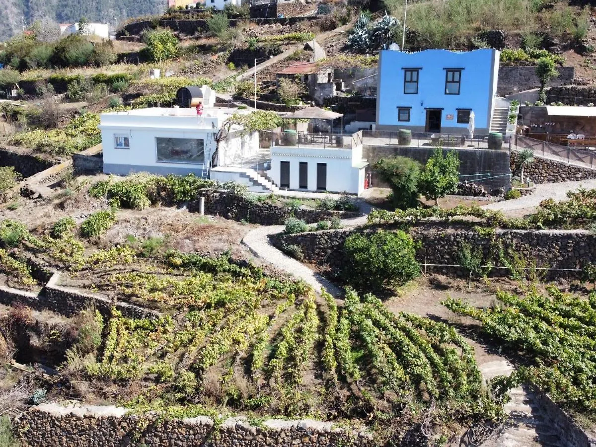 Ek Teide Finca El Milagro La Orotava