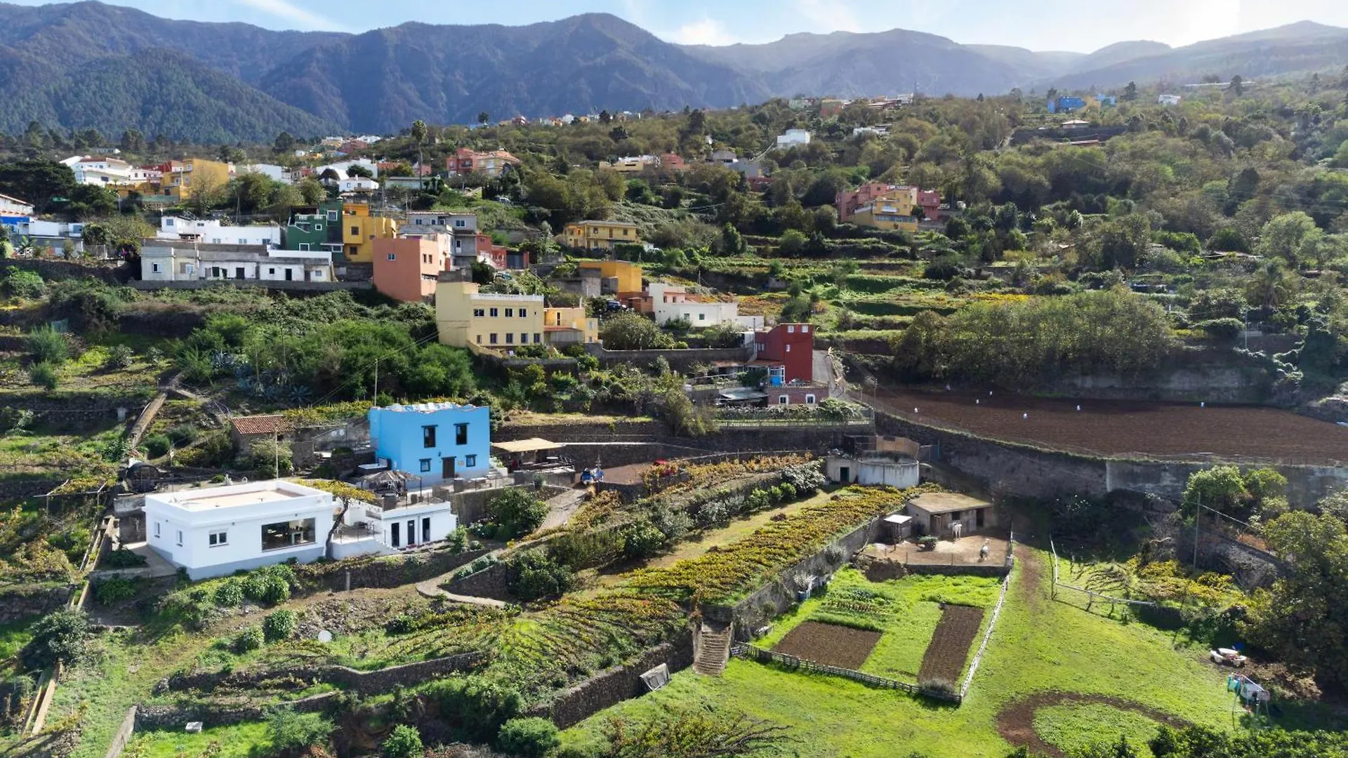 Ek Teide Finca El Milagro La Orotava Spain