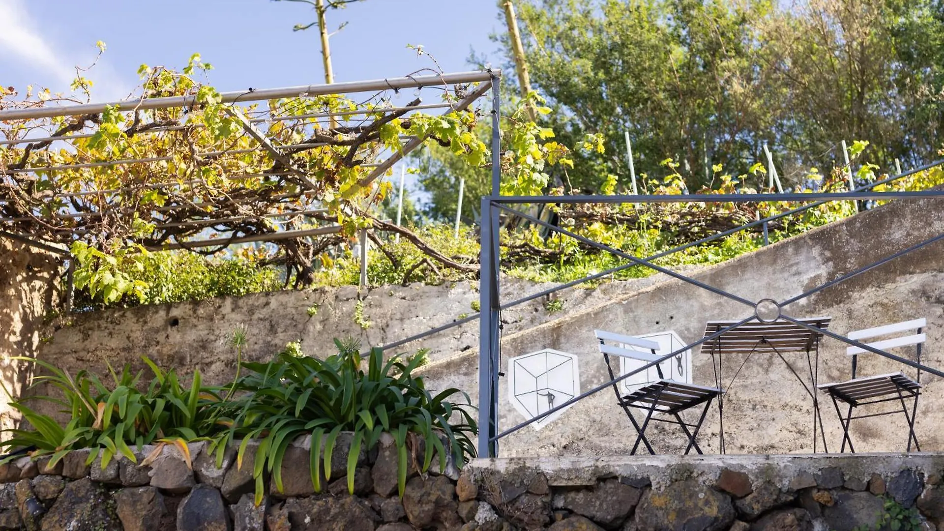 Apartment Ek Teide Finca El Milagro La Orotava