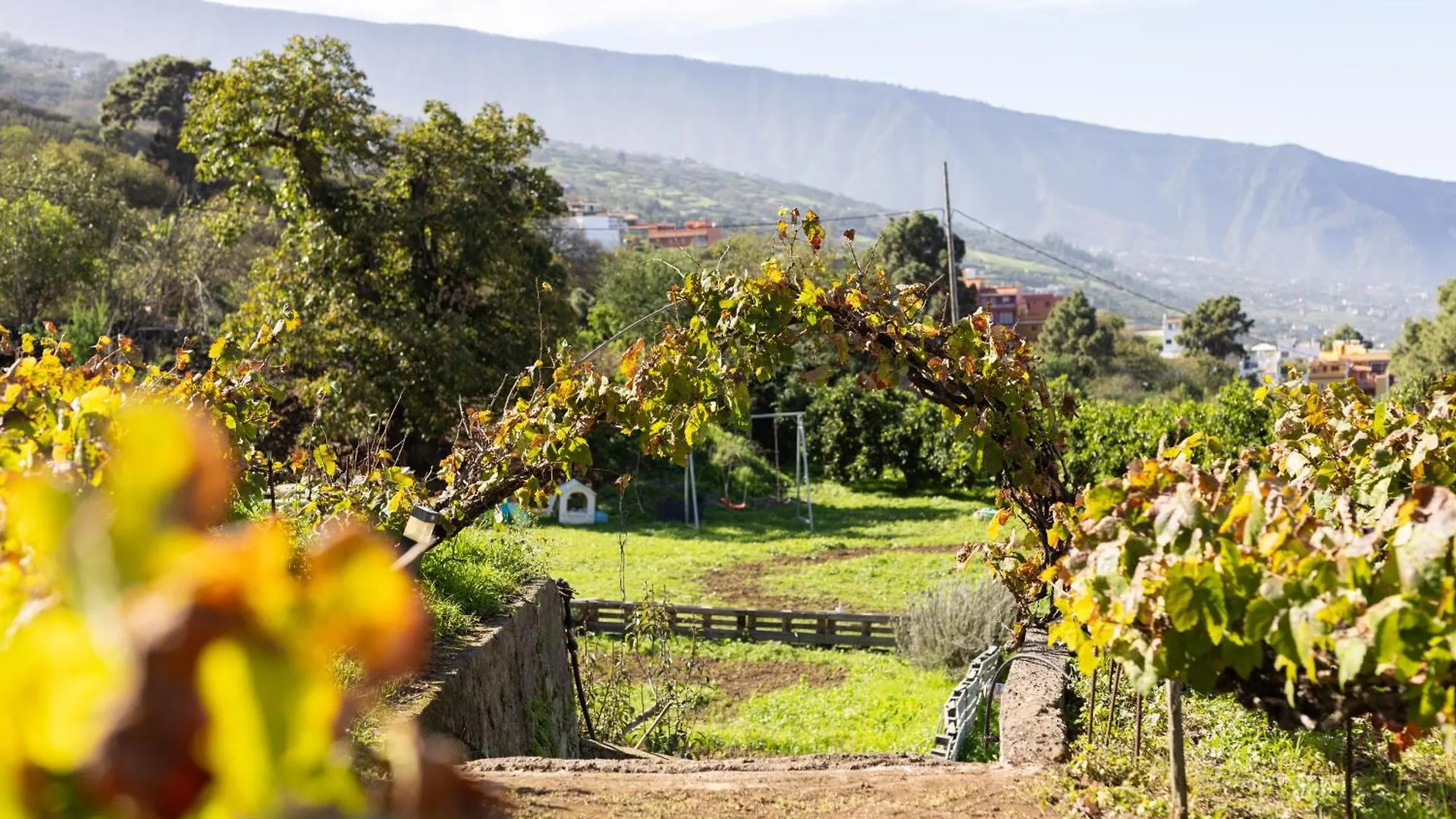 Ek Teide Finca El Milagro La Orotava Spain