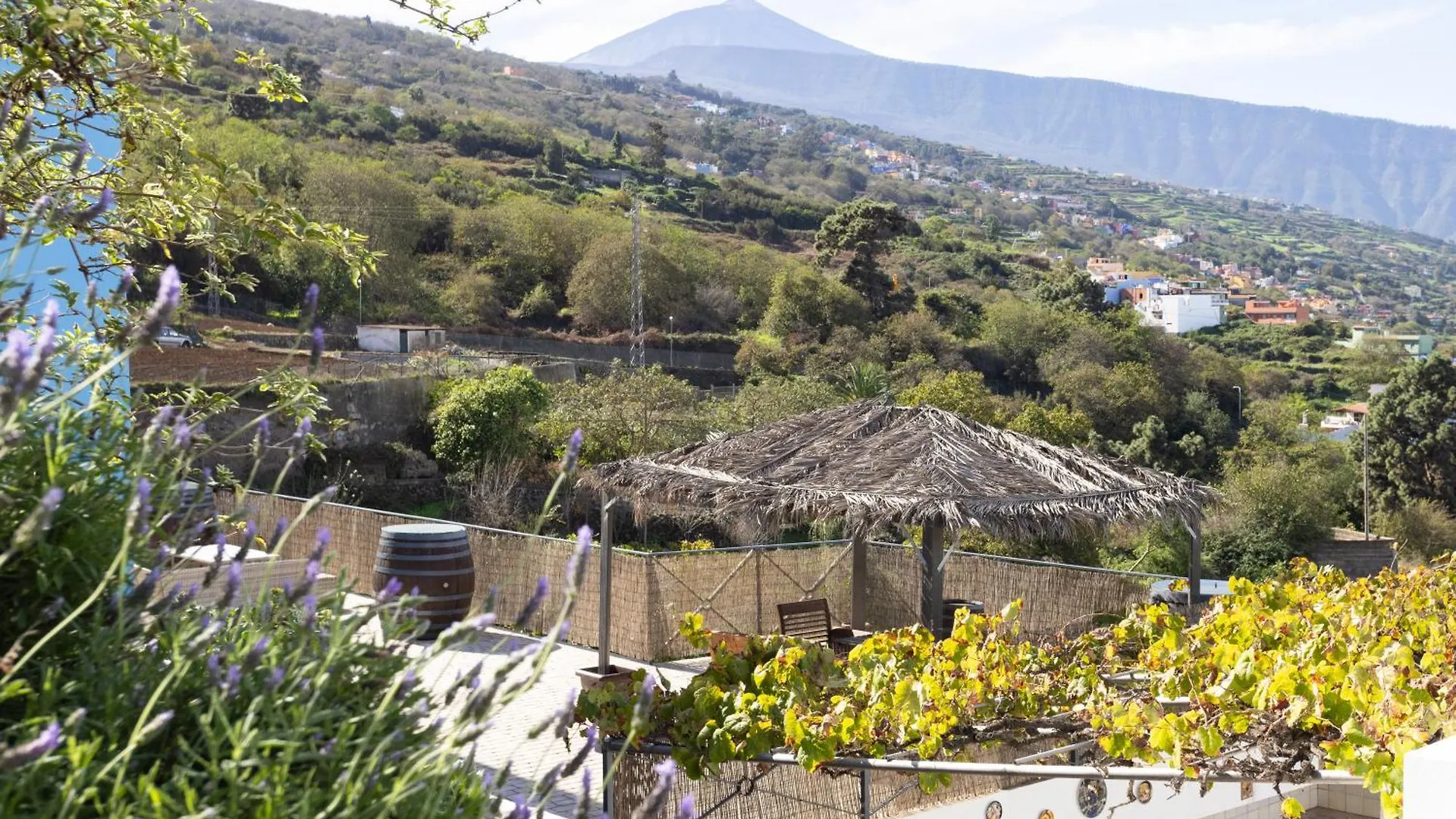 Ek Teide Finca El Milagro La Orotava Apartment
